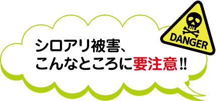 シロアリ被害、こんなところに要注意?
